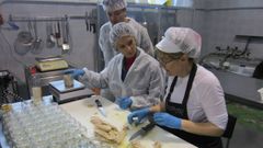 Obrador de conservas tradicionales Currimar