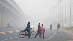 Niebla en Delhi provocada por la contaminaci�n