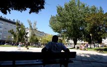 Imagen de los �rboles que se encuentran en la plaza naronesa de A G�ndara.