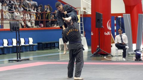 Campeonato gallego de hapkido en el Pabell�n de Barra�a
