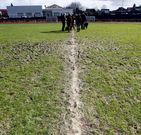 Abalo estall� ante la crisis de los campos de hierba natural.