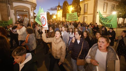 Manifestacin en Lugo contra la planta de Coeses