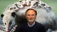 Un paseo por las relaciones entre madres e hijos