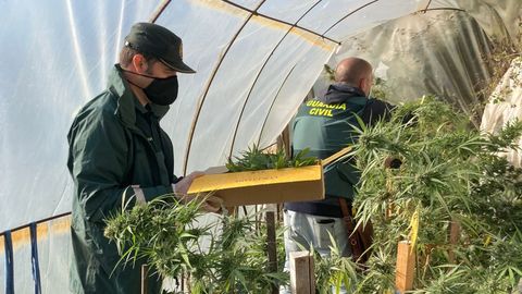 Intervenci�n de la Guardia Civil para incautar la marihuana
