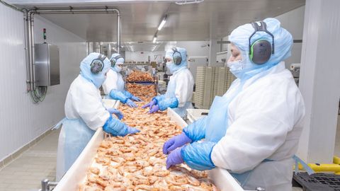 Empleadas de la planta de Zaragoza trabajando el langostino.