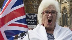 Manifestaci�n a favor de que se acelere el proceso del �brexit�