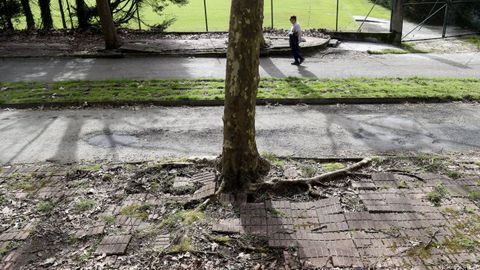 El abandono del entorno del estadio de San L�zaro