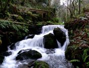 El curso del r�o Abelleira est� plagado de saltos de agua flanqueados por vegetaci�n aut�ctona.