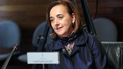 La exconsejera de Cultura del Principado, Mercedes �lvarez
