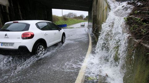 La circulaci�n por la carrterera entre Monforte y Sober tambi�n se vio afectada por la lluvia y la ca�da de �rboles