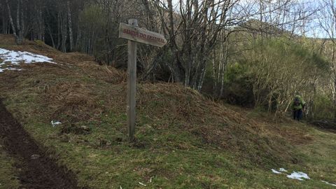 Hayedo de Busmayor. La ruta est bien sealizada y en invierno, en la cima, suele haber nieve