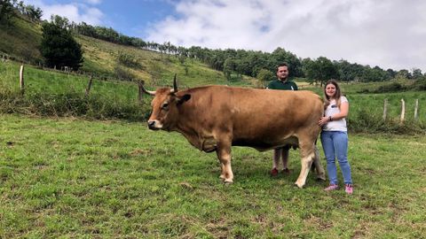 El veterinario Fernando L�pez y la ganadera Sonia Mart�nez junto con una de las vacas aspiradas