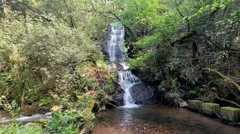 La cascada mide 25 metros
