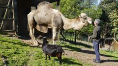 Treinta a�os de la granja escuela de Belelle, en Neda