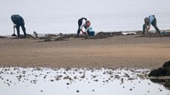 Mariscadores a pie en la playa de Raposi�os, en A Pobra, esta semana