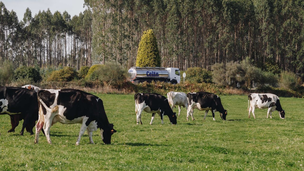 Más de 60 menores participaron en un programa de bienestar de Leche Celta