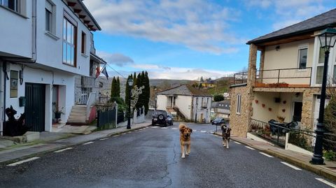 Travesa de Celeiros.