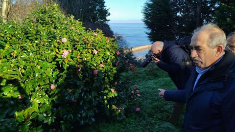 Jardines de La Fonte Baxa en Luarca