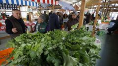 El recinto ferial de Gont�n acoge el Expogrelo de Abad�n.