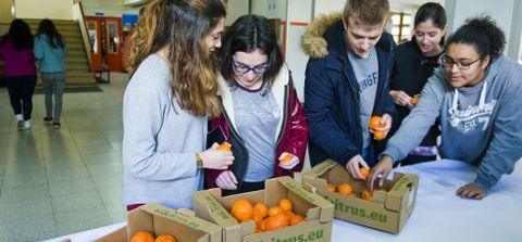 Alumnos y profesores colaboran en el reparto de fruta en el centro, ayer hubo mandarinas. 