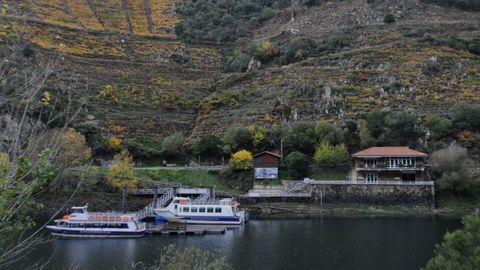 Barcos turísticos de la Diputación en el embarcadero de Ponte Abeleda (en el municipio de Monforte), en el cañón del Sil