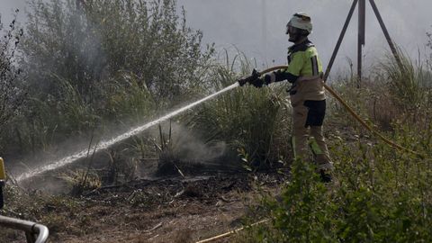 Incendio en el monte de San Pedro, en A Corua.