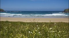 Valdovi�o. Playa de Pant�n