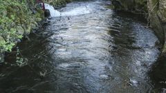 Foto de archivo