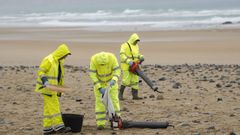 Recogida de plets en la playa de Vega