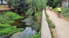 La sequa y las algas tapan el ro Lagares