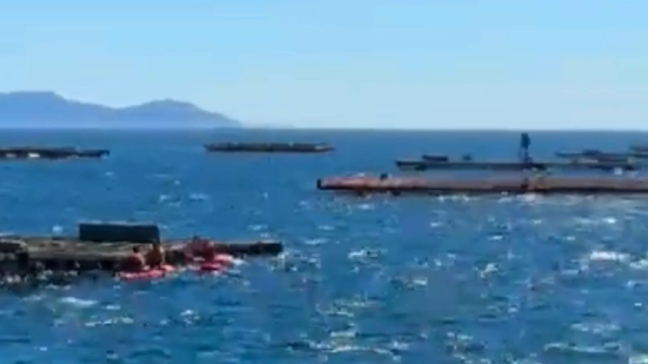 Auxilian a cuatro personas que perdieron el control de sus tablas de pádel surf y acabaron entre bateas en la ría de Vigo