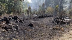 Imagen de uno de los incendios que asolaron Ponteceso en agosto