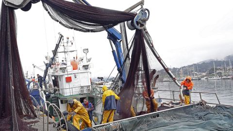 Un cerquero descargando bocarte (anchoa, boquer�n) en Portos�n en marzo del 2025. 