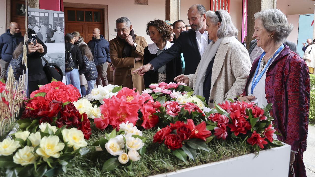 El Pazo de Fonseca exhibe más de 200 variedades de camelias