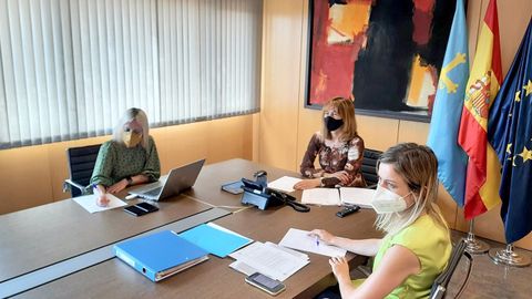 La consejera de Hacienda, Ana C�rcaba, participa en la reuni�n telem�tica del Consejo de Pol�tica Fiscal y Financiera