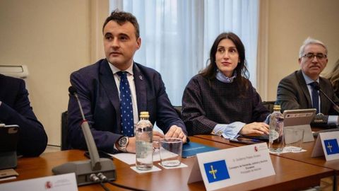 El consejero de Hacienda, Justicia y Asuntos Europeos, Guillermo Pel�ez, y la directora general de Asuntos Europeos, Raquel Garc�a, en el pleno de la Conferencia para Asuntos Relacionados con la Uni�n Europea (Carue).