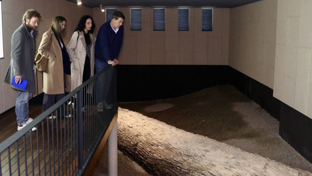 Besteiro reclama en Lugo que la Xunta declare el museo de la romanización como proyecto estratégico de Galicia