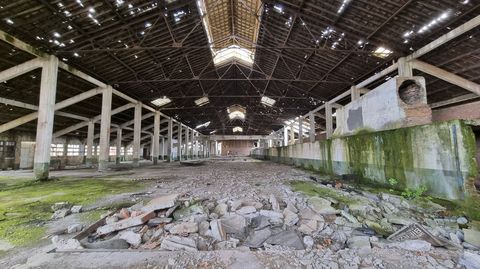 Interior de una de las naves de la fbrica, con el suelo lleno de escombro y agujeros en el tejado