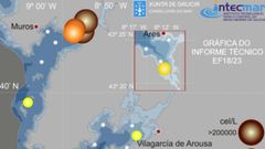 En el mapa del Intecmar se observan las elevadas concentraciones de dinoflagelados alexandrium en la r�a de Muros-Noia.