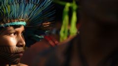 El �lbum del d�a