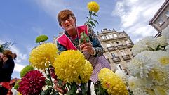 Mercado de flores para Todos los Santos