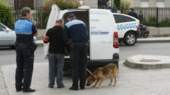 Agentes de la Polic�a Local de Monforte recogen un perro abandonado, en una foto de archivo. 