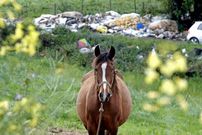 La escombrera de Ar�ns tiene una especial vigilancia y ahora apenas se producen vertidos ah�. 