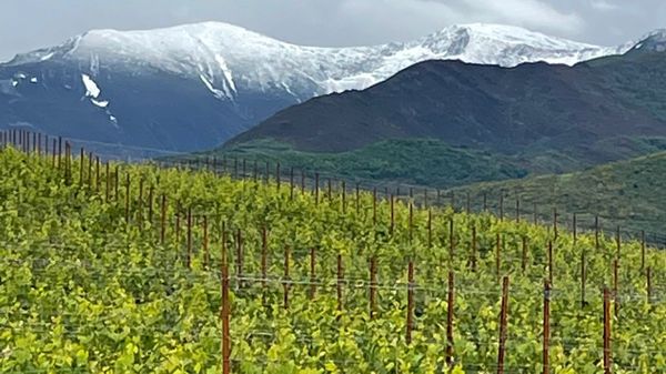 Finca del grupo en el Bierzo