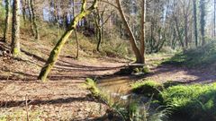 Zona de�de Rialdarca y del robledal del Carrachal