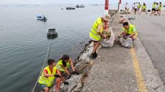 Los participantes recogiendo los restos de basura.