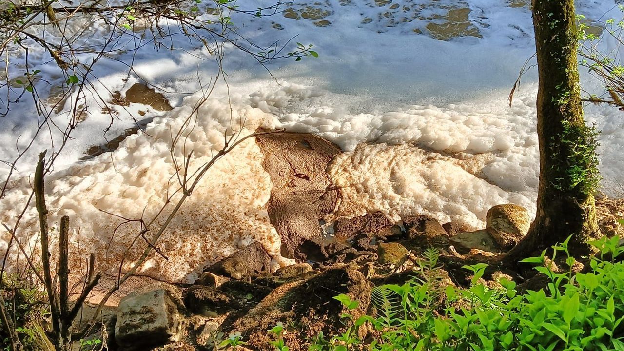 El río Sar presenta nuevos síntomas de contaminación y olor a aguas residuales