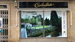 Una de las im�genes de la campa�a <Vive O Carballi�o>
