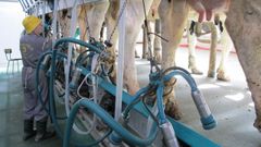 Las explotaciones de la comarca han invertido m�s de 150 millones de euros en modernizar sus instalaciones para sacar mayor rendimiento