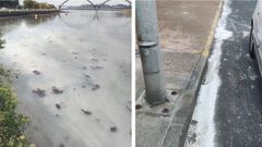 Los restos de obra fueron a parar a las pluviales, y de ah� al r�o Xuvia